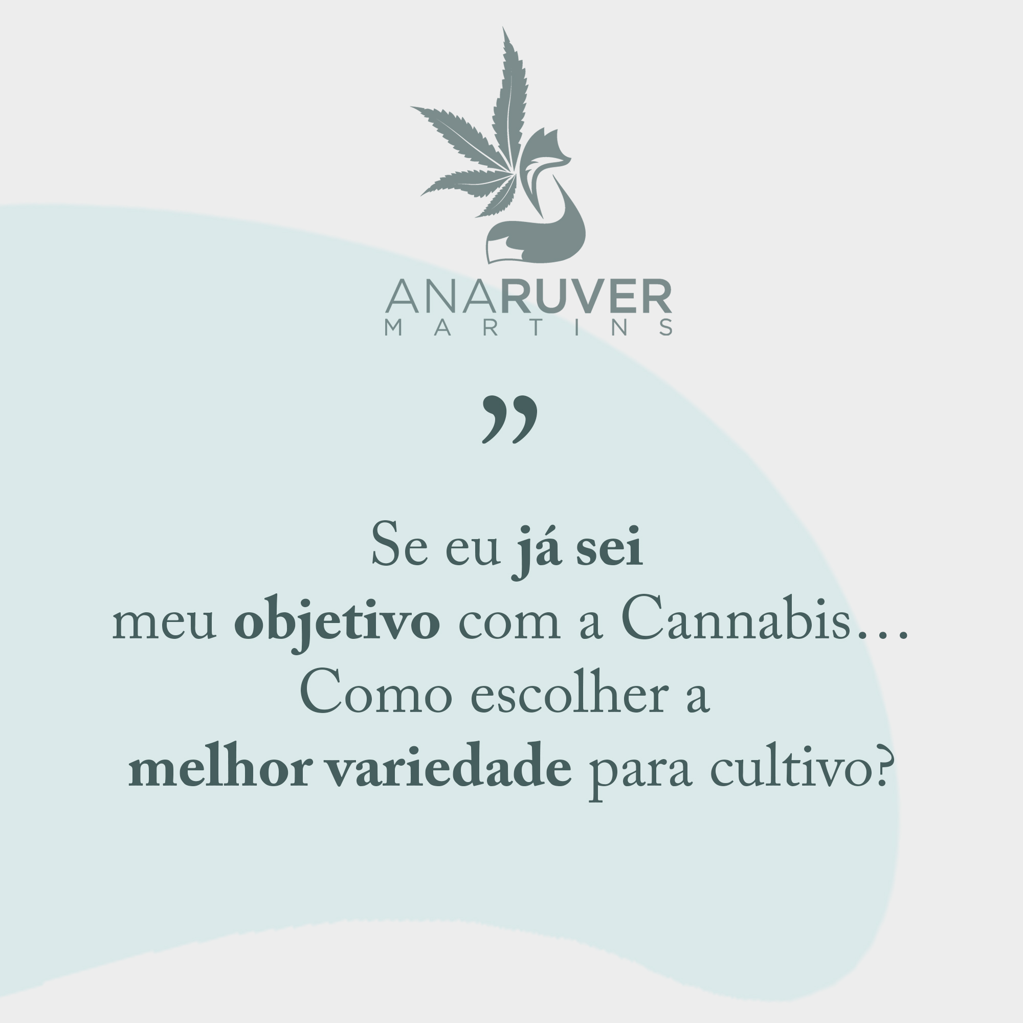 escolher variedade para cultivo