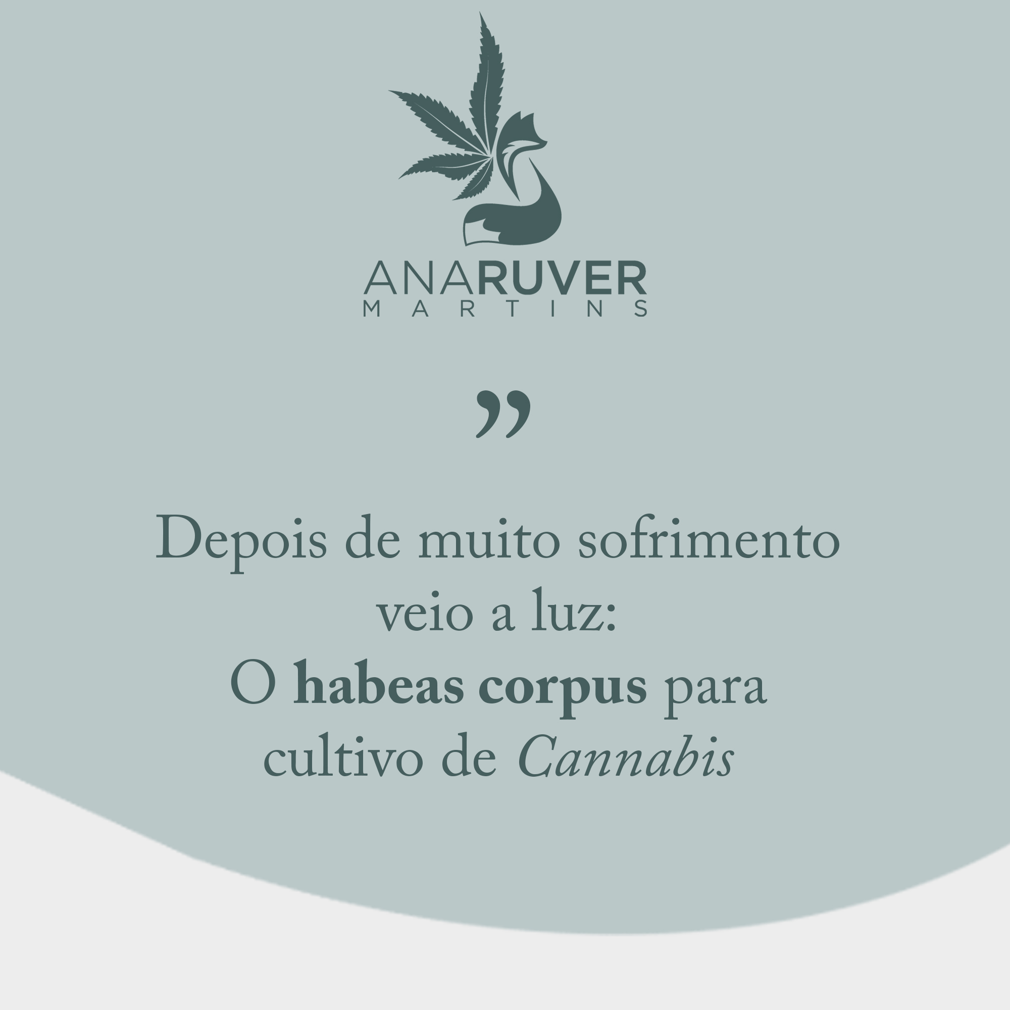 habeas corpus canabis