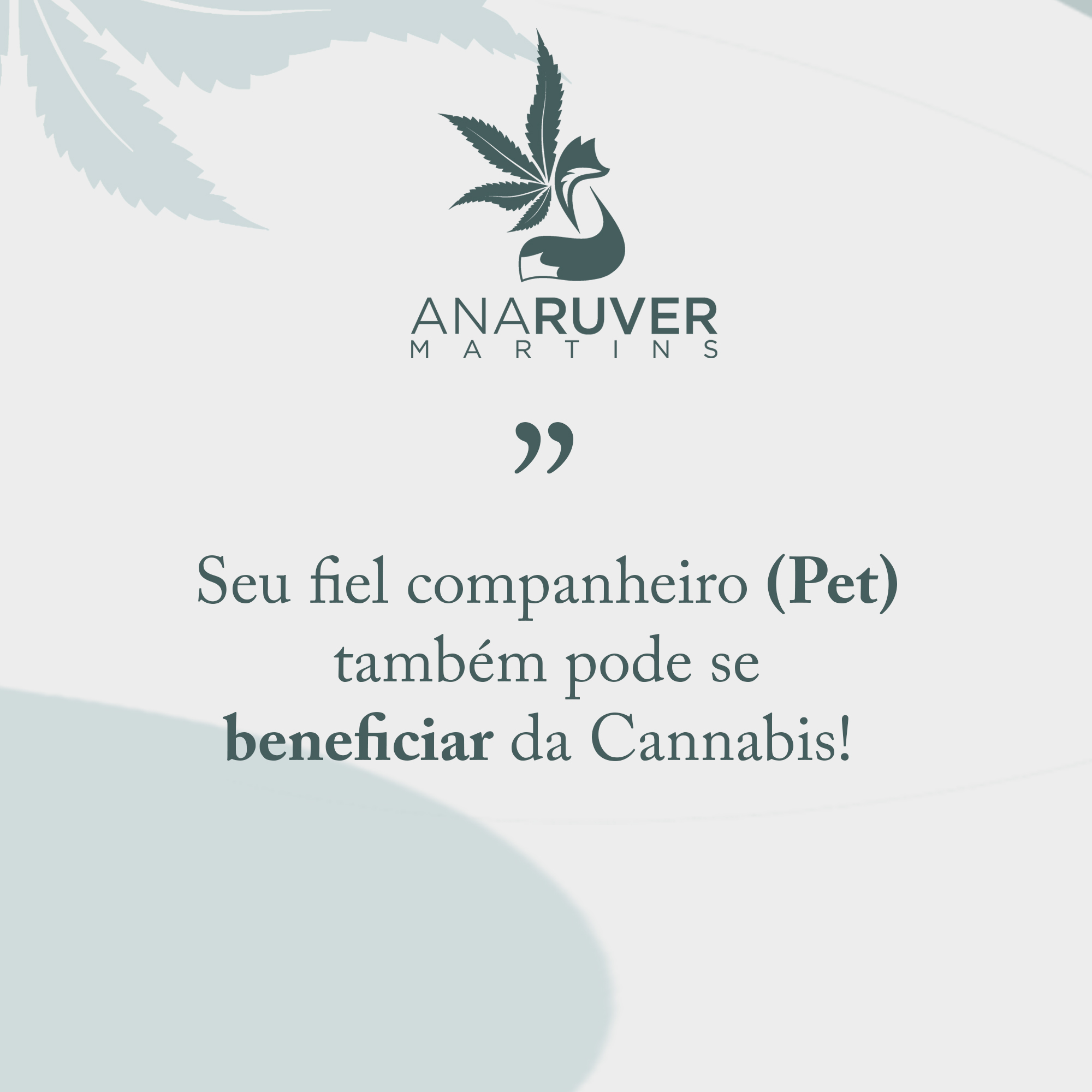 cannabis na medicina veterinaria, pets saudaveis
