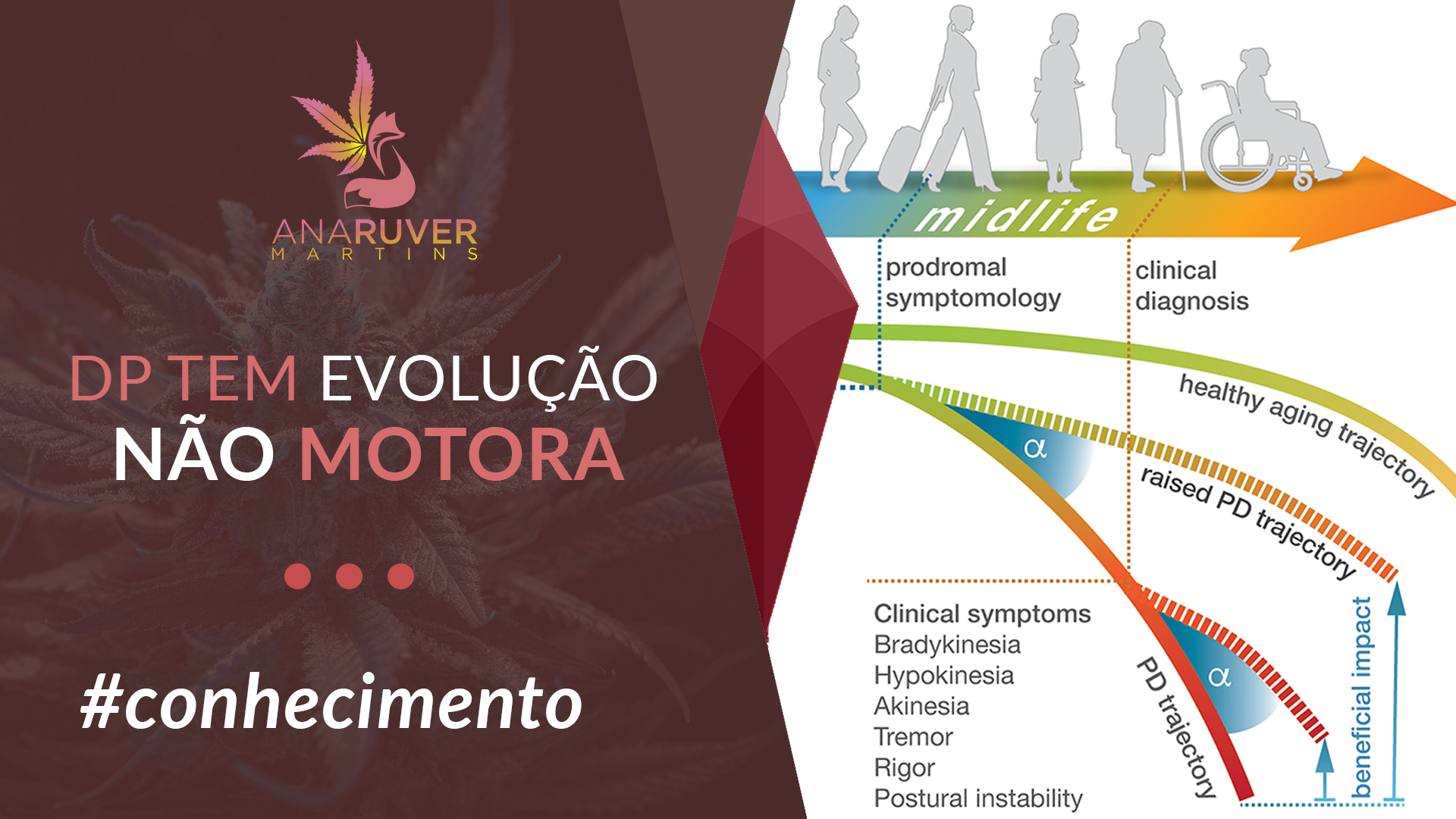 como-sintomas-parkinson-evouem