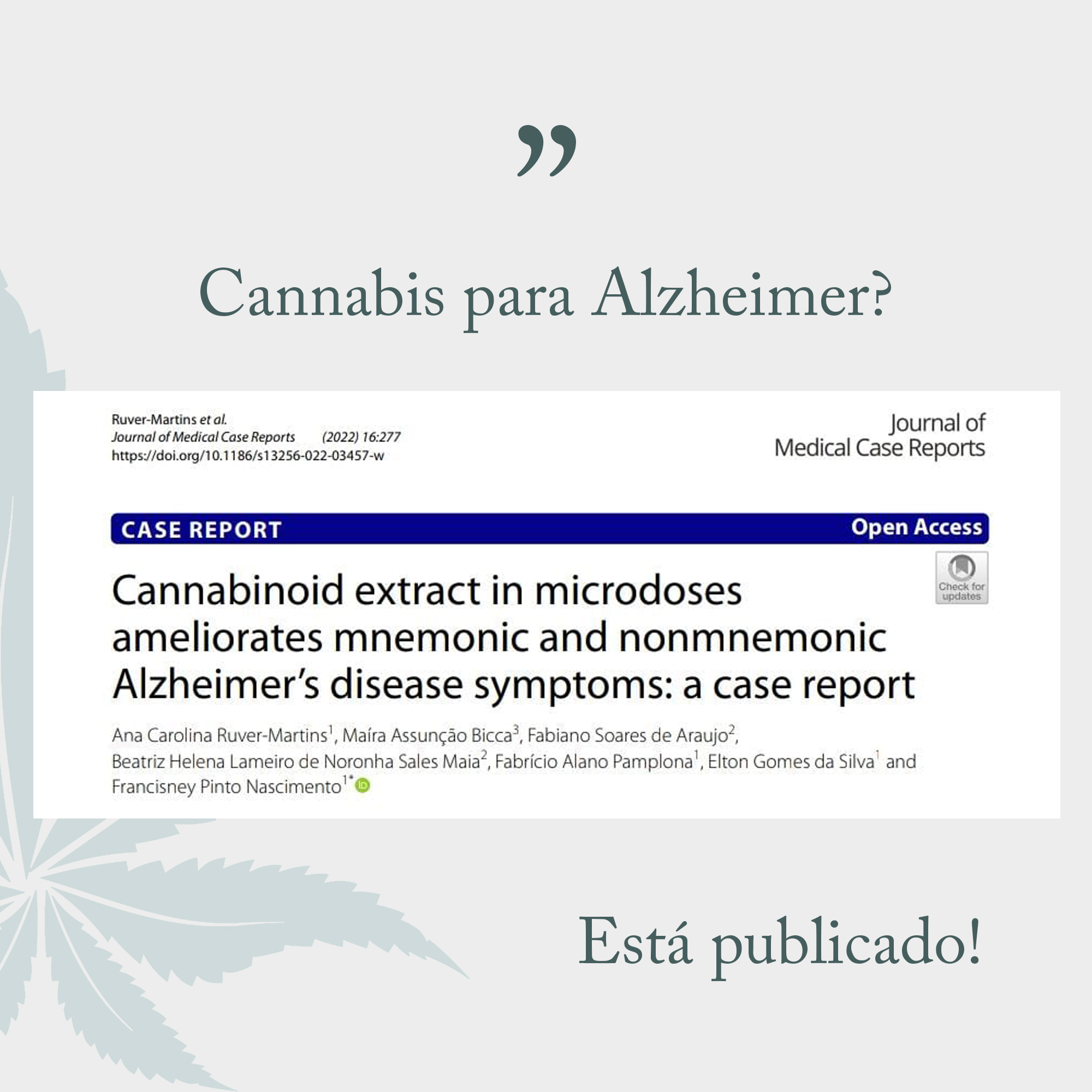Cannabis para alzheimer